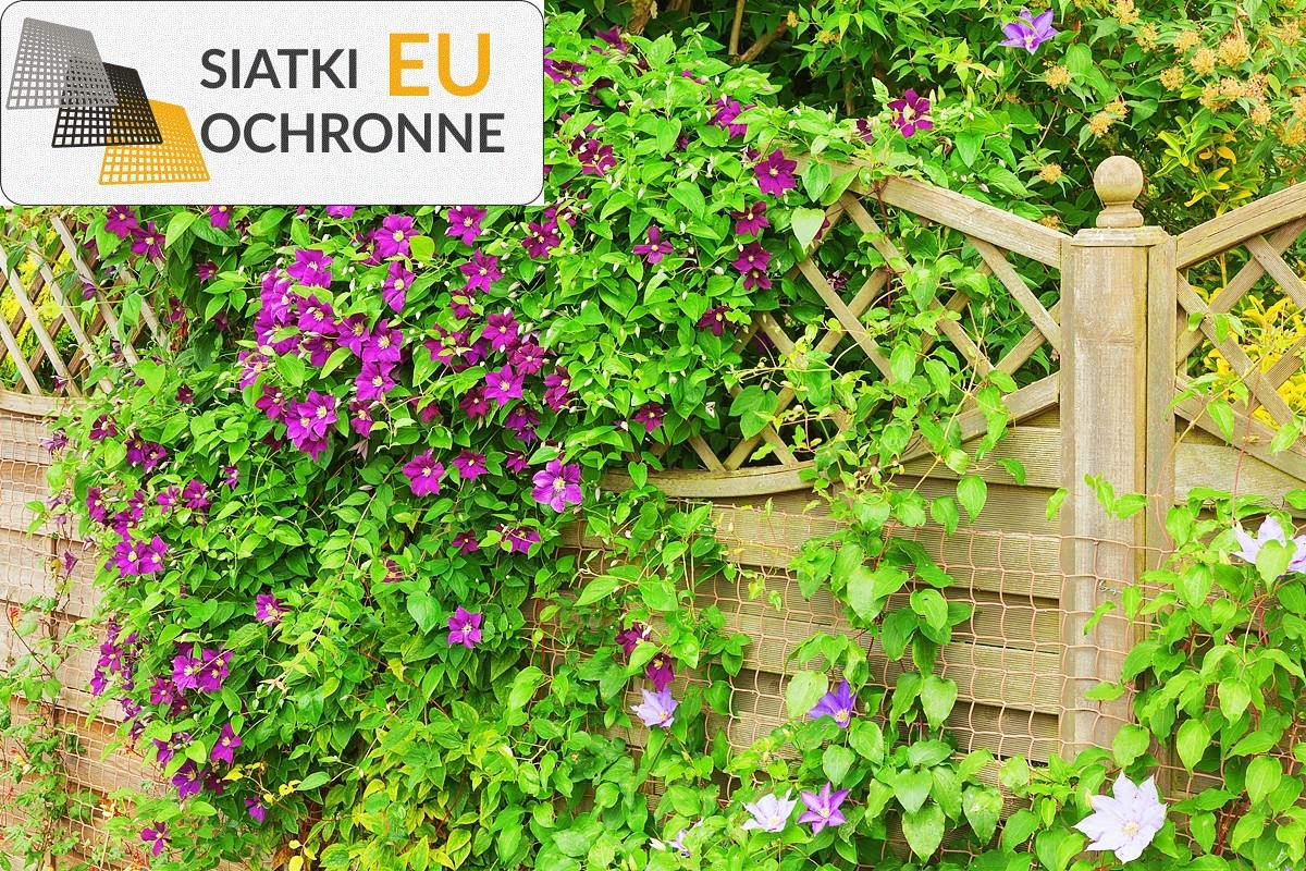 Zabezpiecz swój przytulny kącik zielony za pomocą naszej wytrzymałej siatki SiatkiOchronne.eu - Zabezpiecz swój przytulny kącik zielony za pomocą naszej wytrzymałej siatki