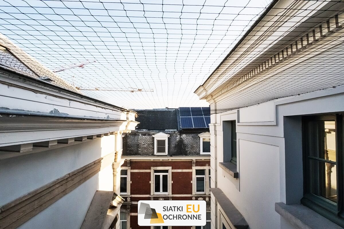   SiatkiOchronne.eu - Siatka na ptaki - zabezpieczenie 