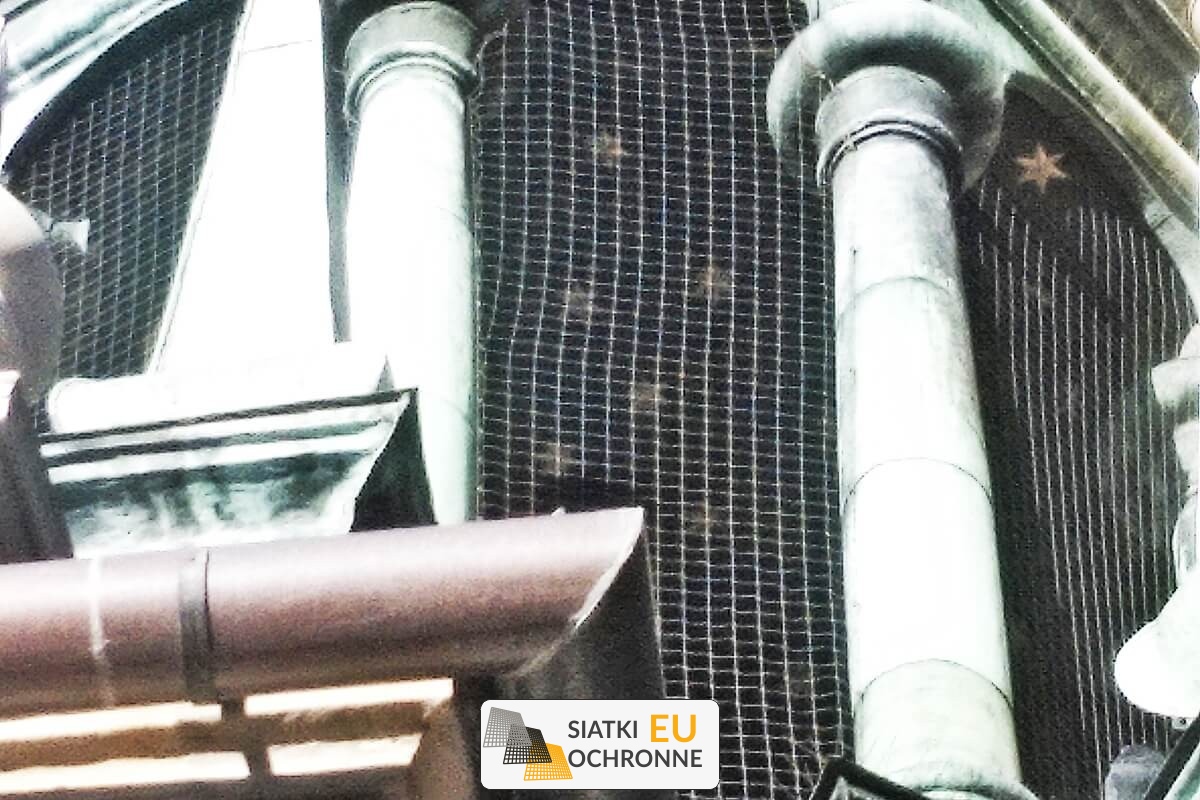 Siatka przeciw ptakom SiatkiOchronne.eu - Siatka przeciw ptakom