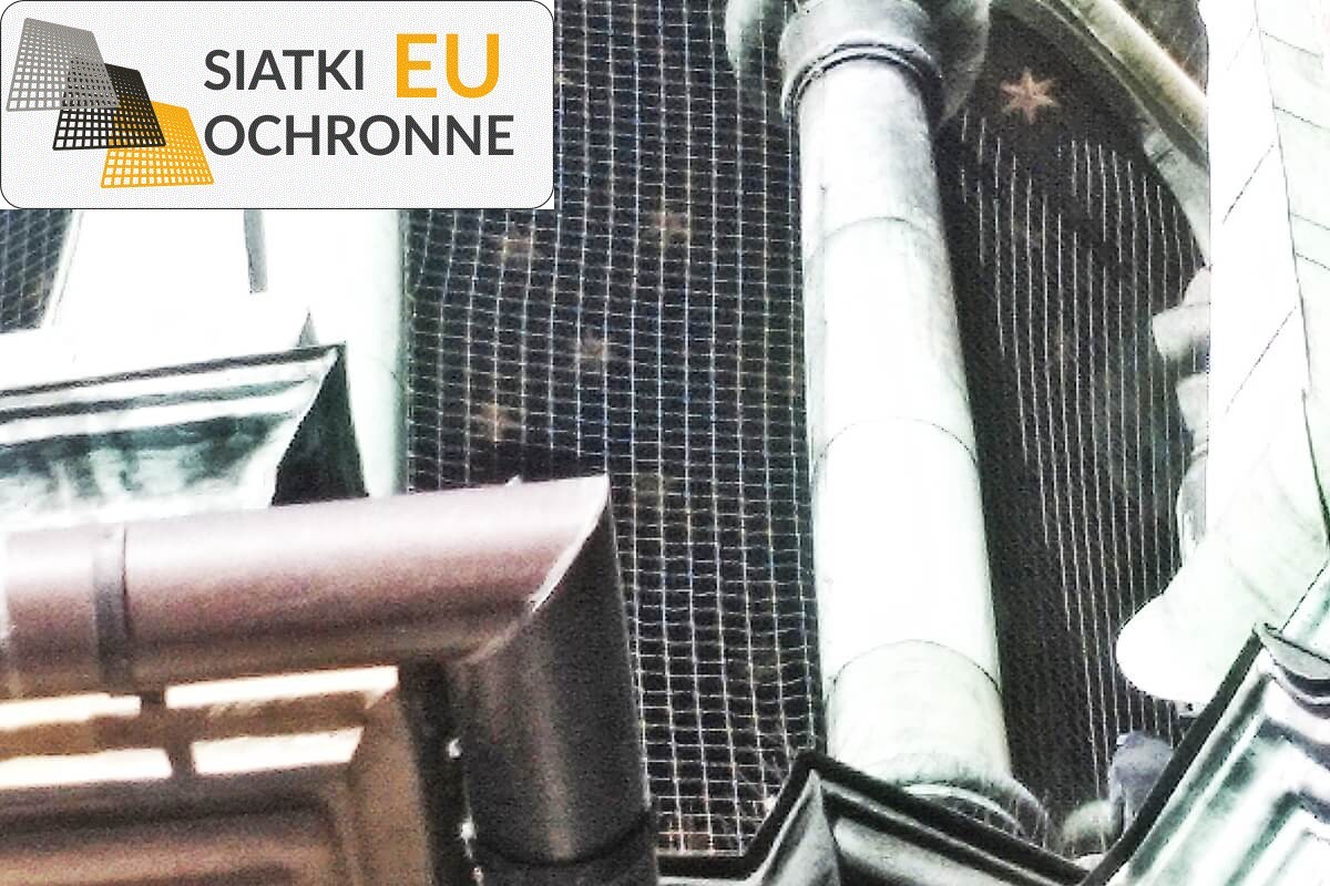 Ochrona Twojego ogrodu — siatka odstraszająca ptaki SiatkiOchronne.eu - Ochrona Twojego ogrodu — siatka odstraszająca ptaki
