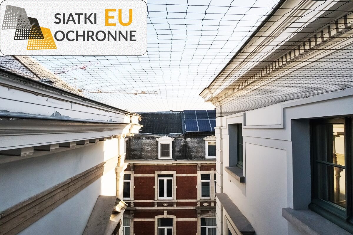 Siatka ochronna - skuteczna bariera przeciwko ptakom SiatkiOchronne.eu - Siatka ochronna - skuteczna bariera przeciwko ptakom