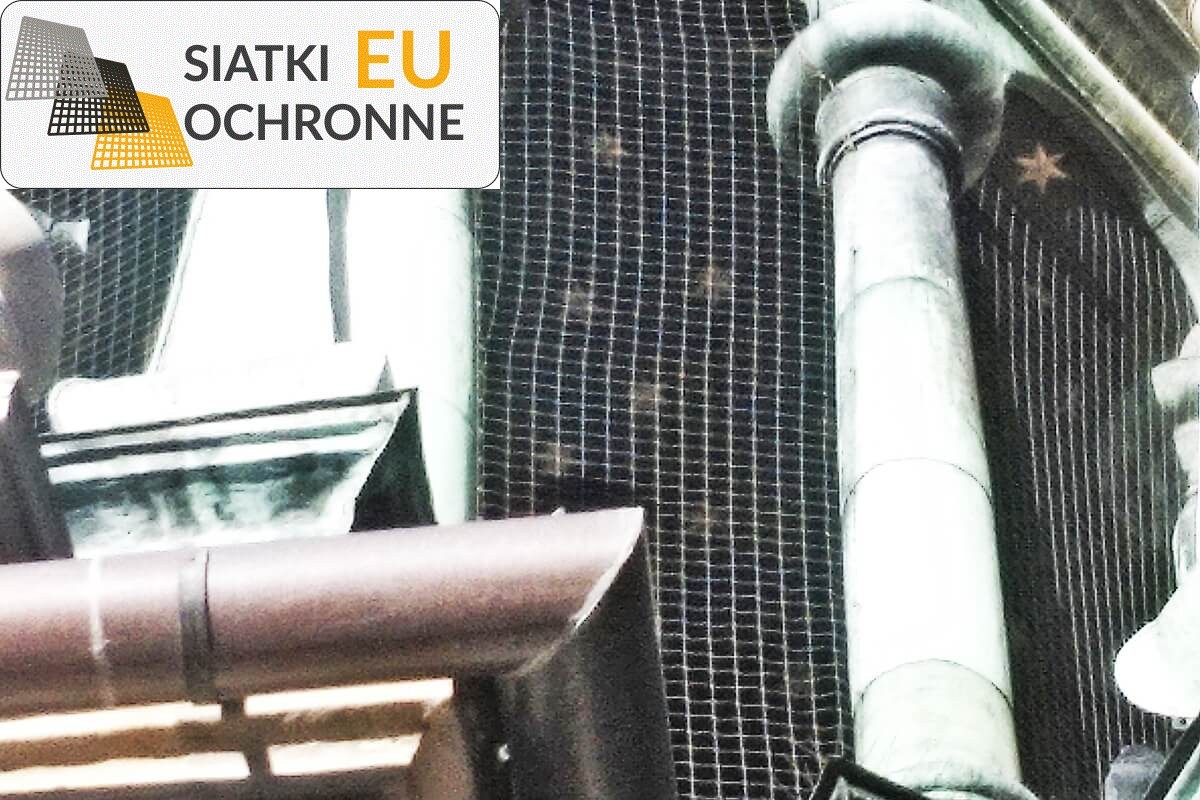 Siatka ochronna PP 4,5x4,5m i 3mm grubości — doskonała w zapobieganiu niechcianym gościom z powietrza SiatkiOchronne.eu - Siatka ochronna PP 4,5x4,5m i 3mm grubości — doskonała w zapobieganiu niechcianym gościom z powietrza