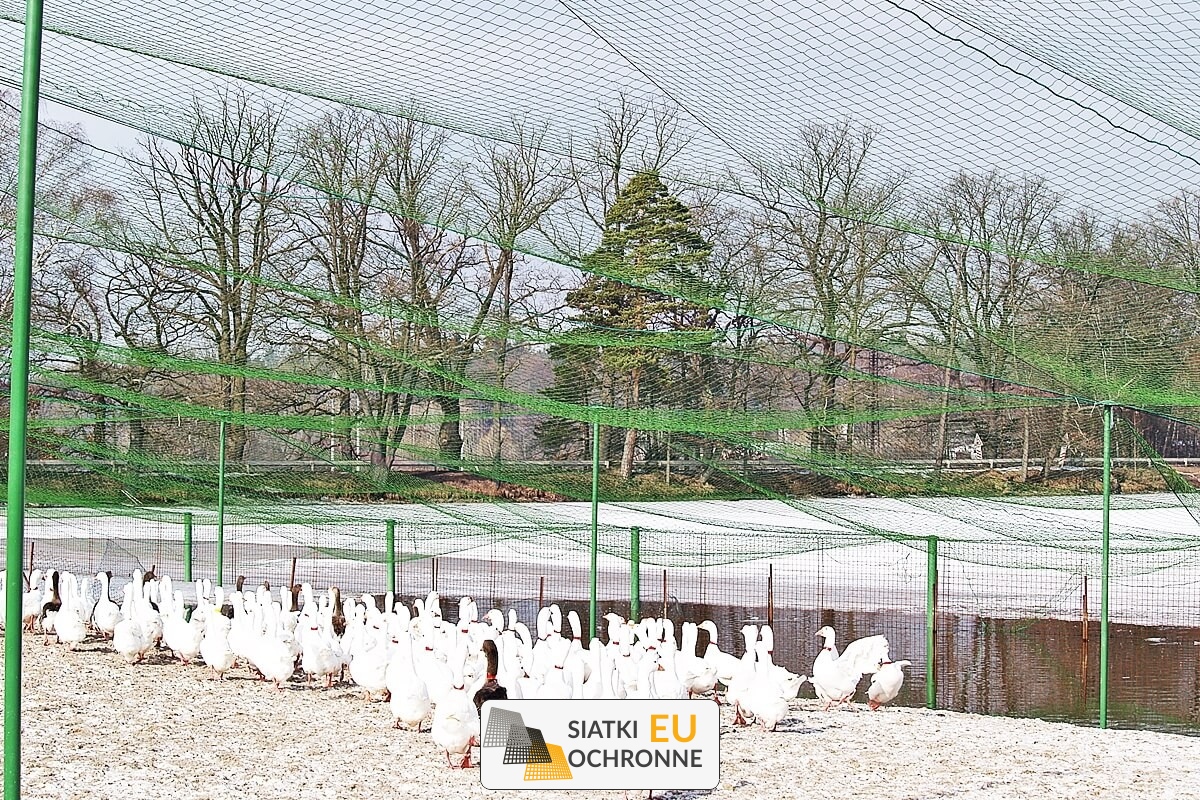   SiatkiOchronne.eu - Siatka do zadaszenia woliery 