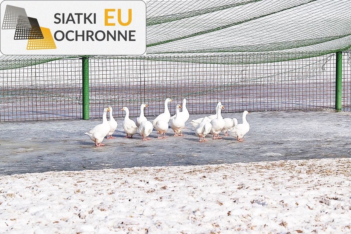 Doskonałej jakości siatki sznurkowe na konstrukcję dowolnej woliery SiatkiOchronne.eu - Doskonałej jakości siatki sznurkowe na konstrukcję dowolnej woliery