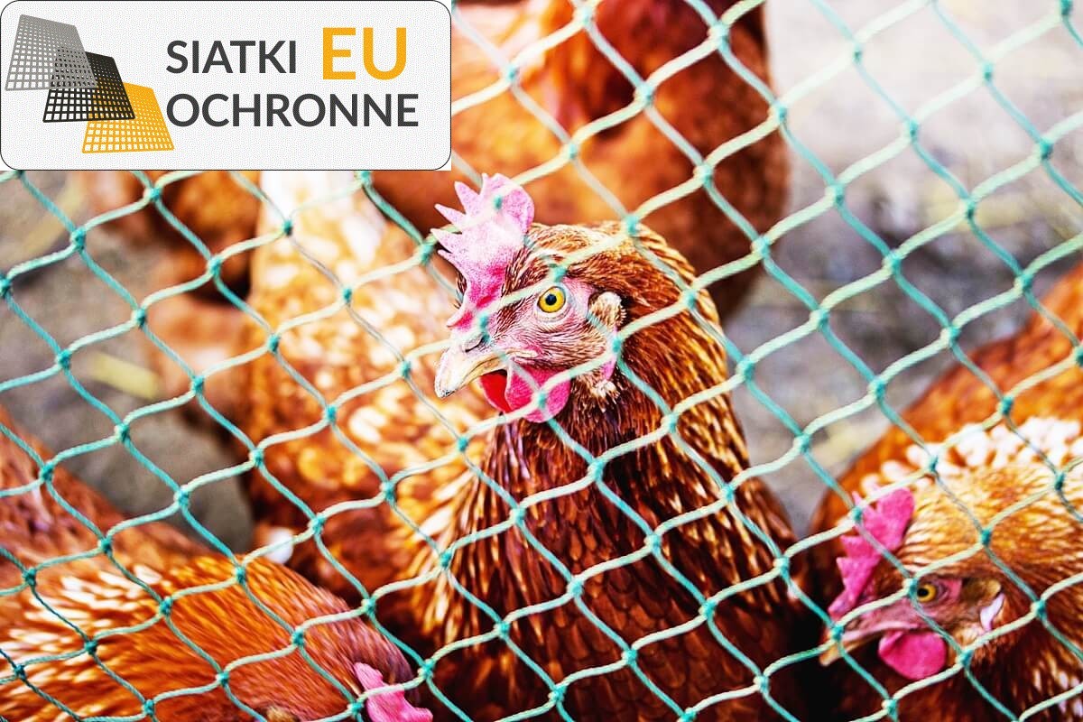 Ochronne zadaszenie dla gęsi na terenie na świeżym powietrzu SiatkiOchronne.eu - Ochronne zadaszenie dla gęsi na terenie na świeżym powietrzu