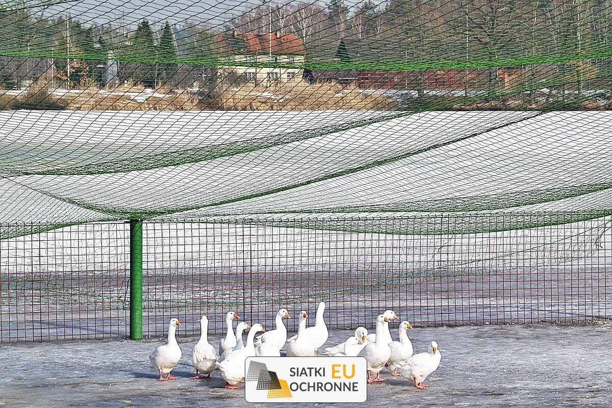   SiatkiOchronne.eu - Ochronne zadaszenie dla hodowli ptaków 