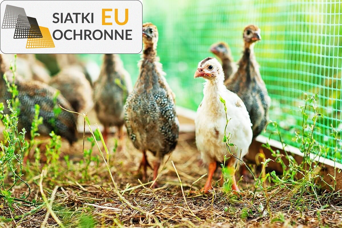   SiatkiOchronne.eu - Siatkowe Wybiegi Dla Bażantów 