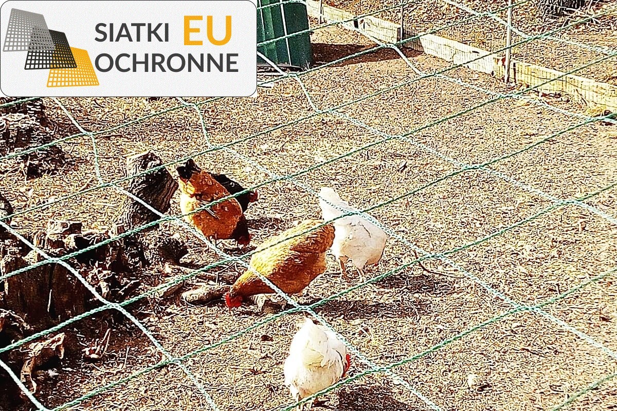   SiatkiOchronne.eu - Zadaszenie ogrodzenia dla bażantów na wolnym wybiegu 