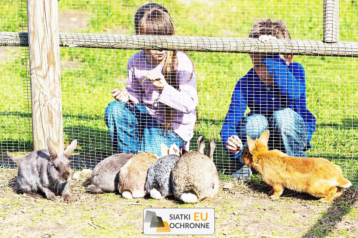 Bezpieczne i ekonomiczne ogrodzenie pastwiskowe dla szczęśliwych królików SiatkiOchronne.eu - Bezpieczne i ekonomiczne ogrodzenie pastwiskowe dla szczęśliwych królików