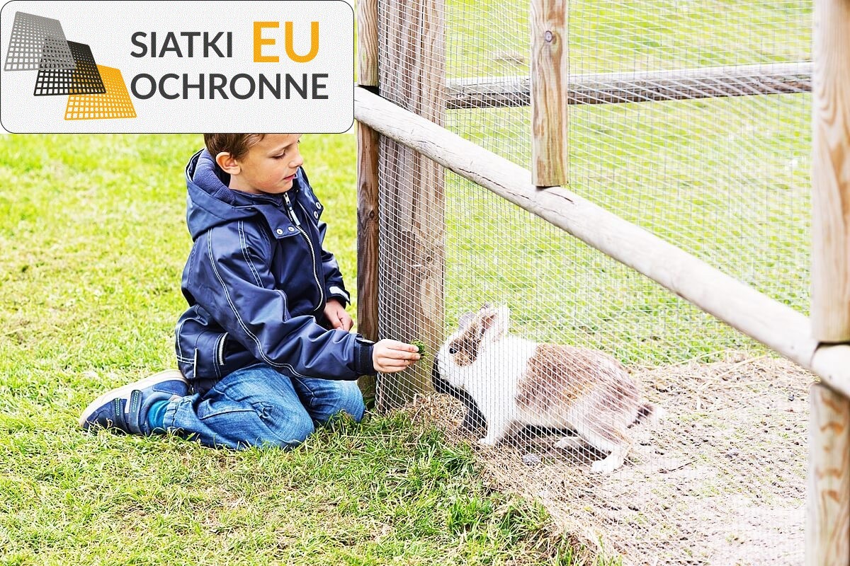 Wybieg zabaw dla królików: tani i bezpieczny SiatkiOchronne.eu - Wybieg zabaw dla królików: tani i bezpieczny