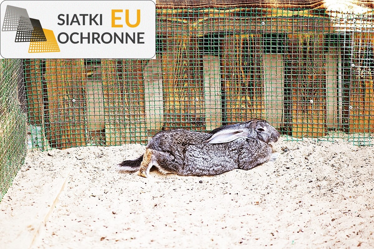 Wybieg zabaw dla królików: tani i bezpieczny SiatkiOchronne.eu - Wybieg zabaw dla królików: tani i bezpieczny