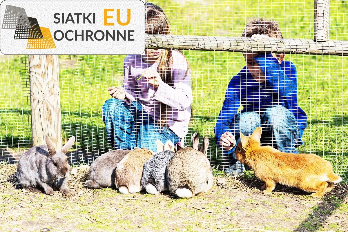   SiatkiOchronne.eu - Siatka ochronna dla hodowli królików 