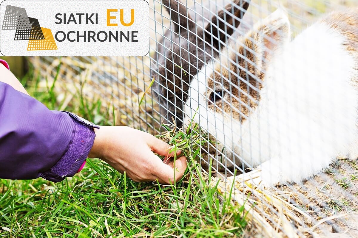   SiatkiOchronne.eu - Siatka ochronna dla hodowli królików 