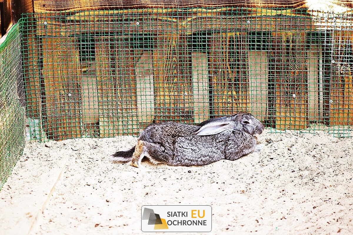 Siatka bezpieczeństwa dla otwartych wybiegów królików SiatkiOchronne.eu - Siatka bezpieczeństwa dla otwartych wybiegów królików
