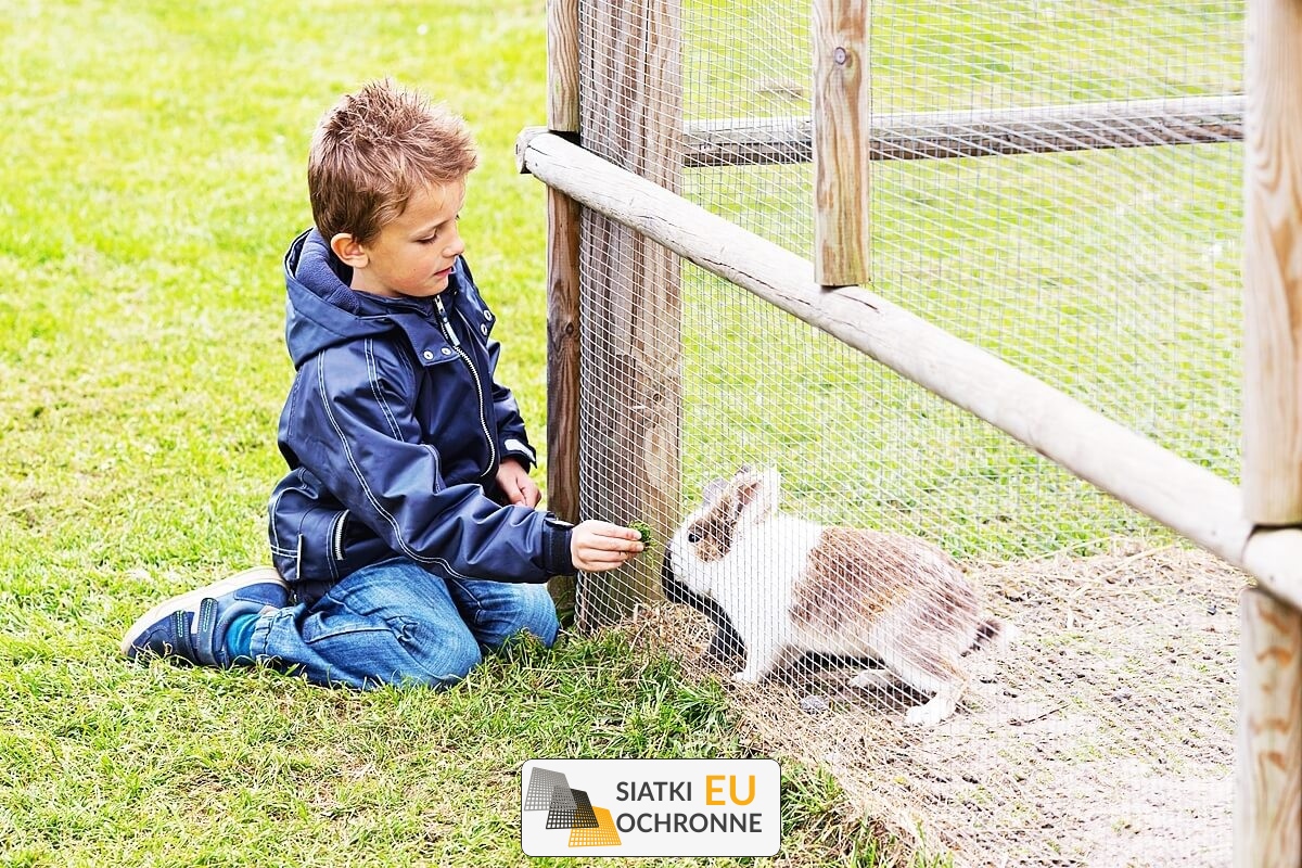   SiatkiOchronne.eu - Siatka do wybiegu dla królików hodowlanych 