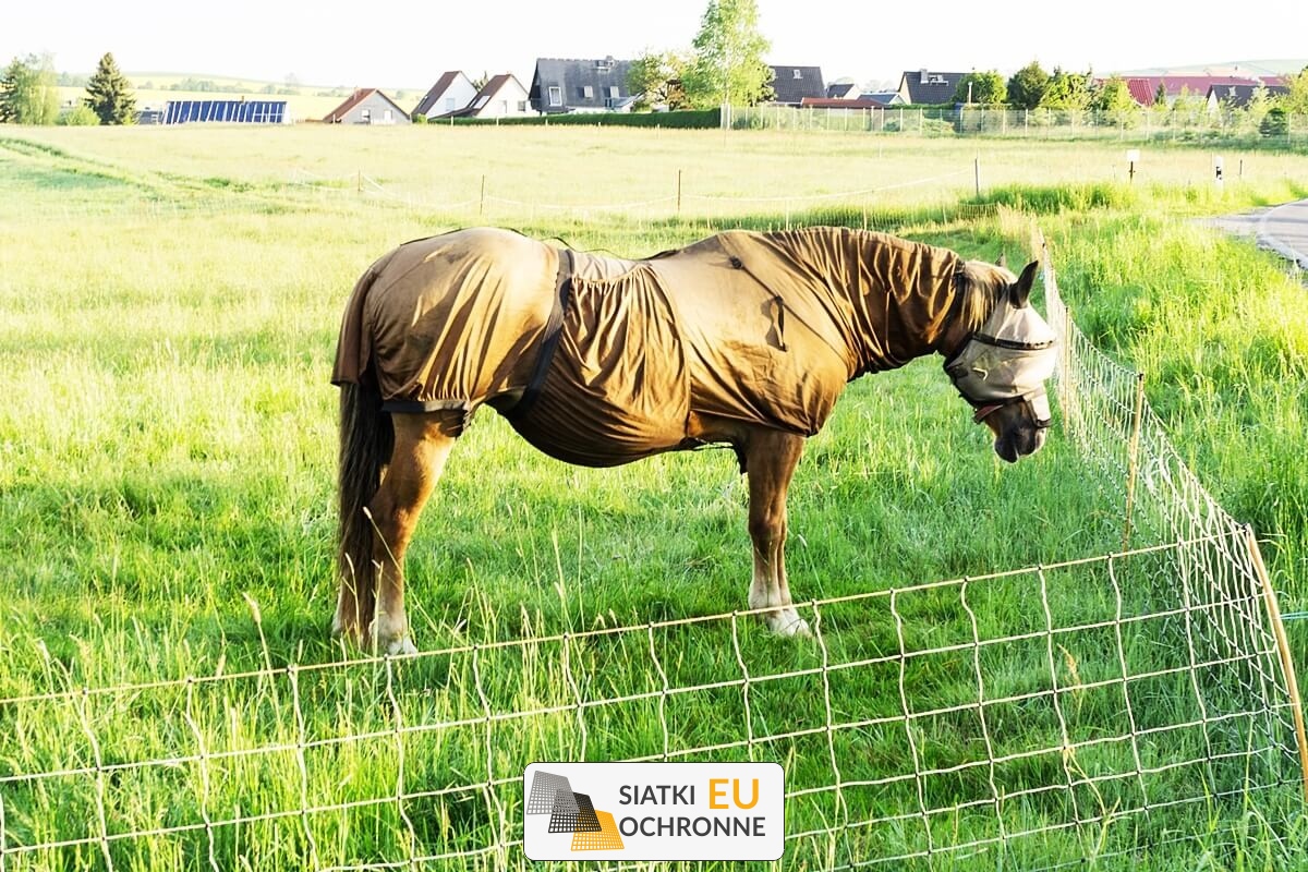   SiatkiOchronne.eu - Wytrzymała i mocna siatka polipropylenowa dla hodowców zwierząt 