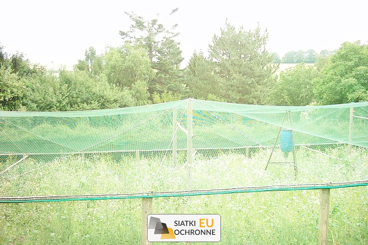   SiatkiOchronne.eu - Bezpieczne i komfortowe zagrody dla koni: przystępne cenowo 