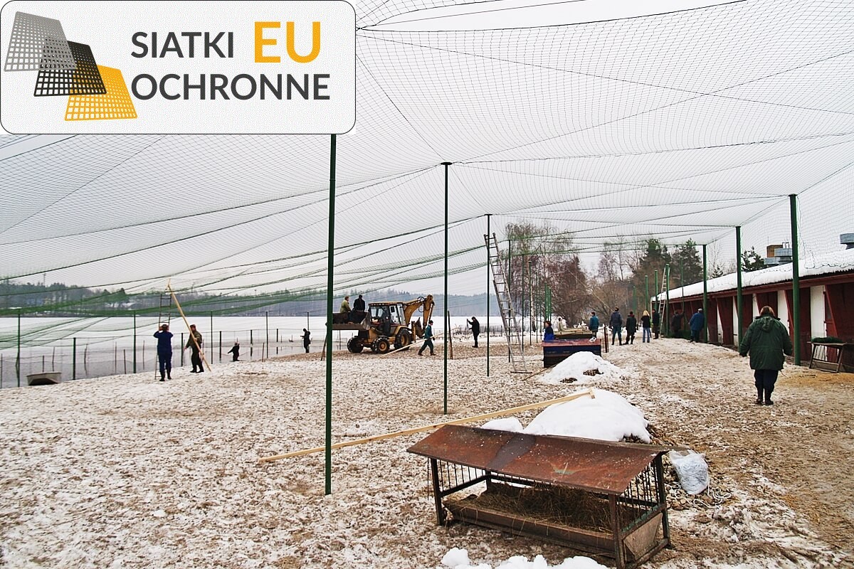 Siatki sznurkowe idealne do hodowli owiec SiatkiOchronne.eu - Siatki sznurkowe idealne do hodowli owiec