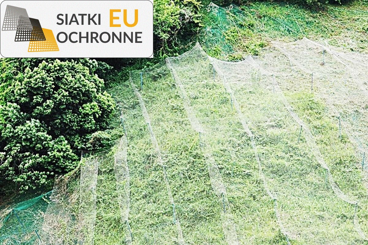 Siatki sznurkowe: Ochrona i komfort dla Twojego stada w jednym SiatkiOchronne.eu - Siatki sznurkowe: Ochrona i komfort dla Twojego stada w jednym