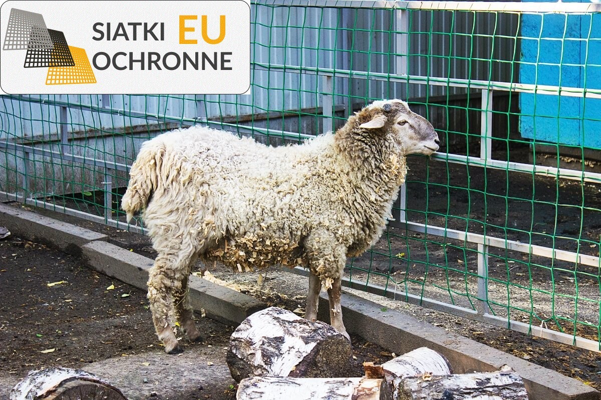 Siatki sznurkowe specjalnie przeznaczone dla hodowli kóz SiatkiOchronne.eu - Siatki sznurkowe specjalnie przeznaczone dla hodowli kóz