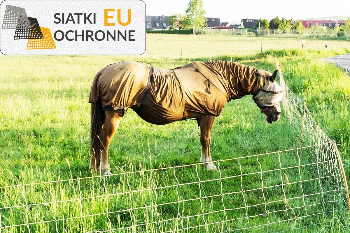 Elegancka siatka sznurkowa do zagrody koni SiatkiOchronne.eu - Elegancka siatka sznurkowa do zagrody koni