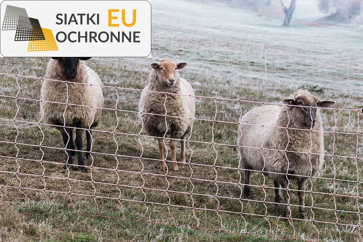 Sznurkowe siatki hodowlane dla koni SiatkiOchronne.eu - Sznurkowe siatki hodowlane dla koni