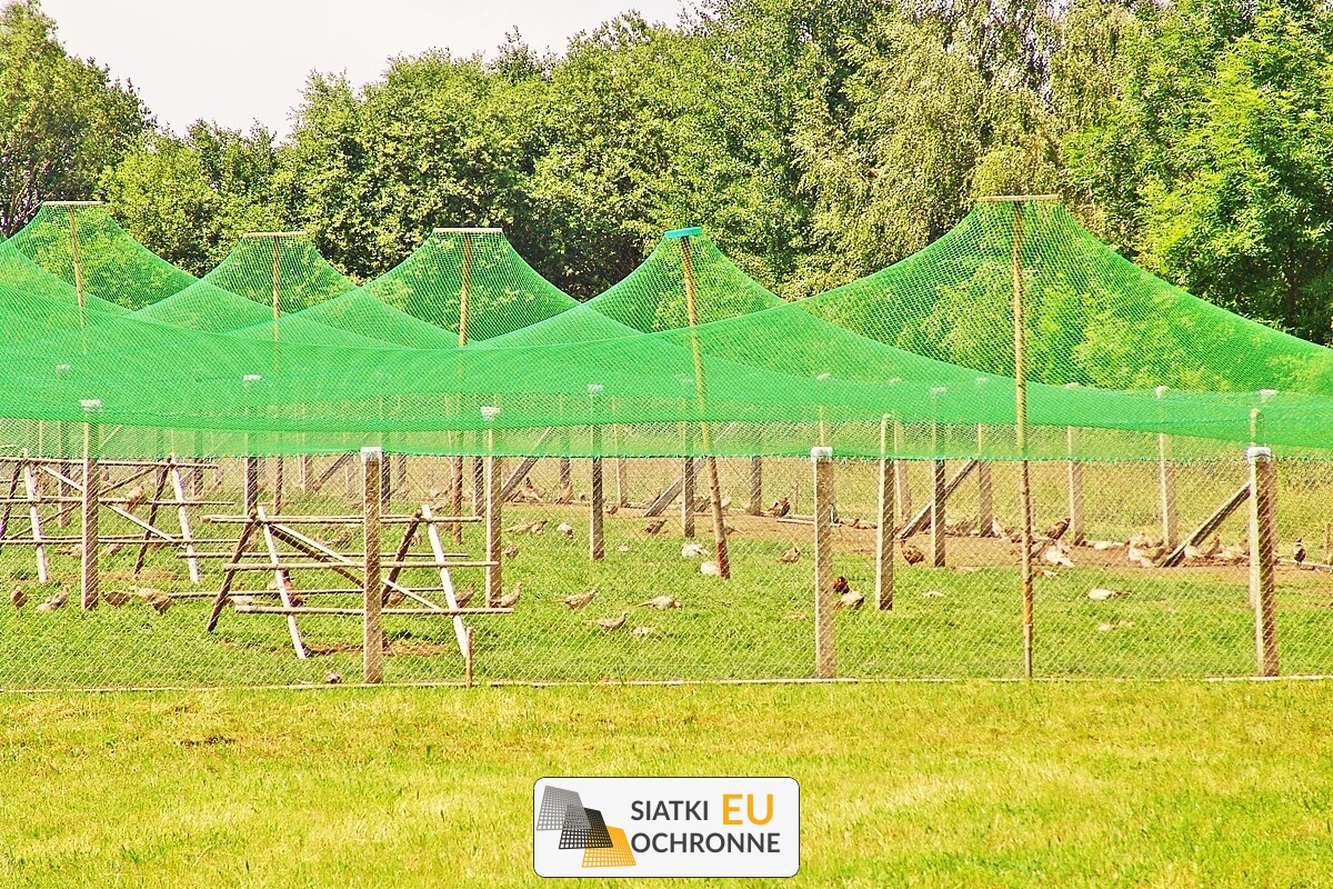   SiatkiOchronne.eu - Siatka hodowlana do zabezpieczania zwierząt 