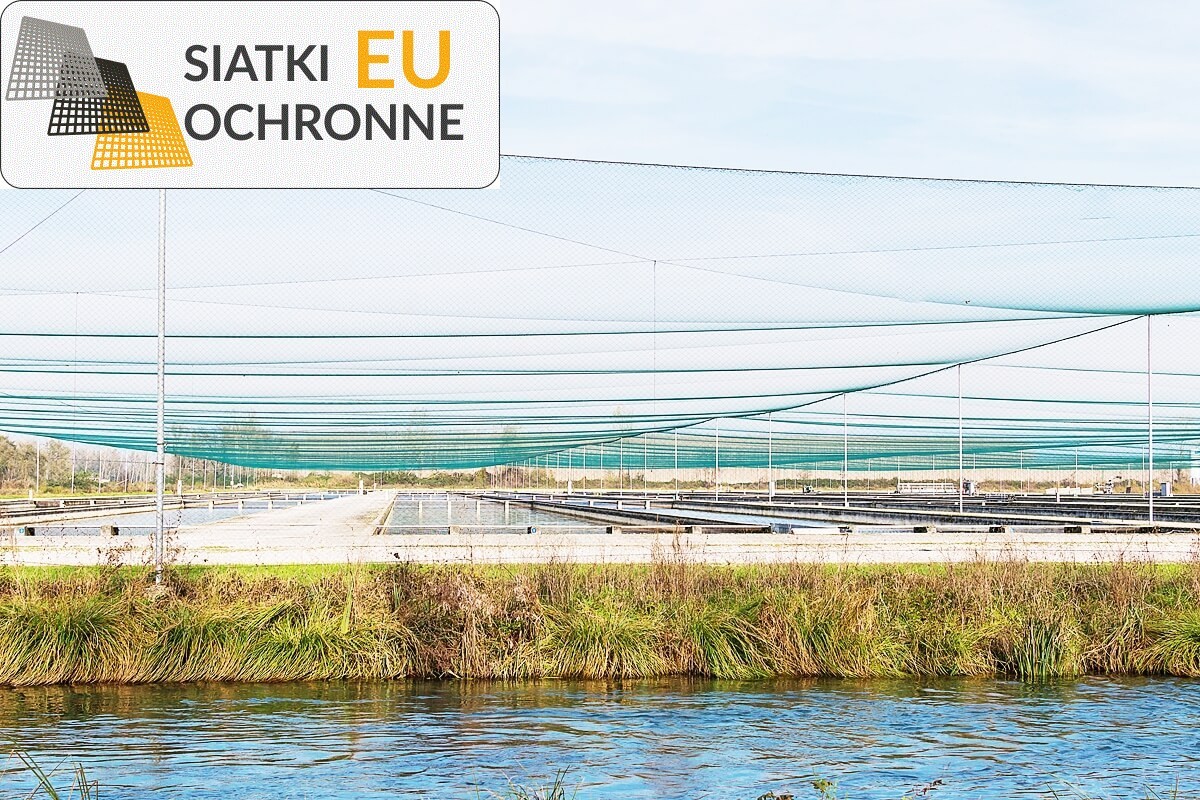 Siatki sznurkowe do ochrony Twojego rumaka - bezpieczeństwo zawsze na pierwszym miejscu SiatkiOchronne.eu - Siatki sznurkowe do ochrony Twojego rumaka - bezpieczeństwo zawsze na pierwszym miejscu