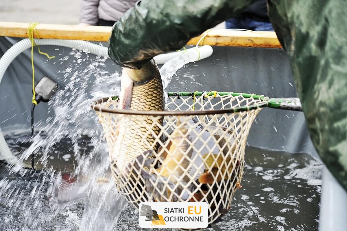 Zabezpieczenie hodowli ryb Siatka do zabezpieczenia ryb SiatkiOchronne.eu - Zabezpieczenie hodowli ryb Siatka do zabezpieczenia ryb