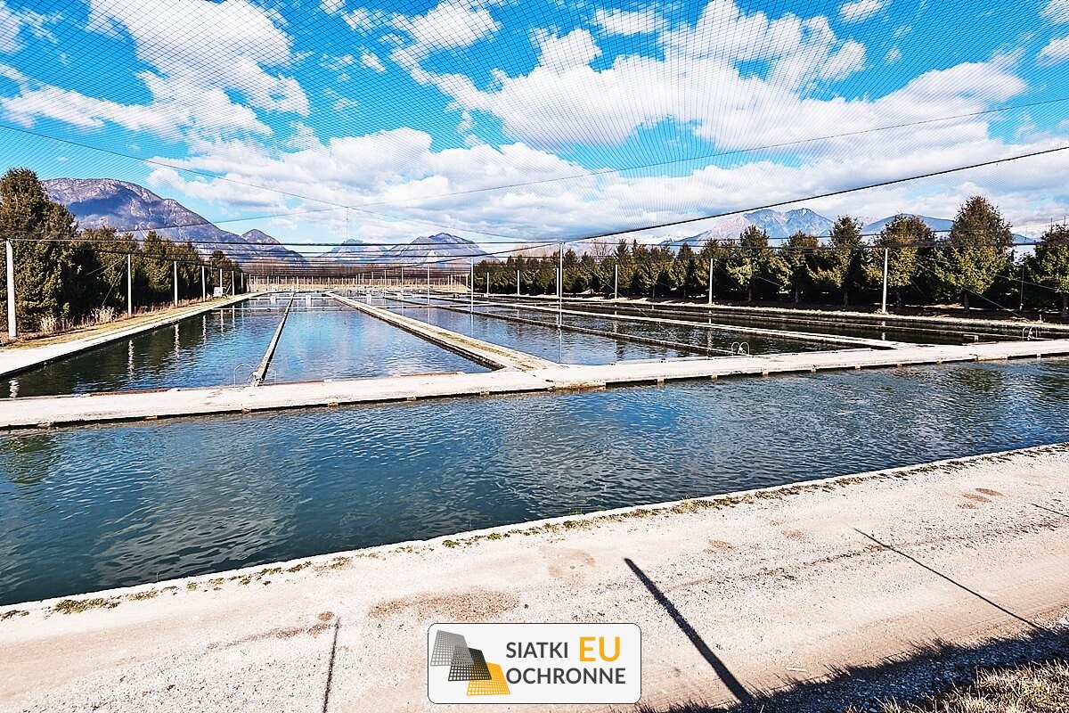 Kojce dla ryb z siatki Siatki dla ryb hodowlanych SiatkiOchronne.eu - Kojce dla ryb z siatki Siatki dla ryb hodowlanych