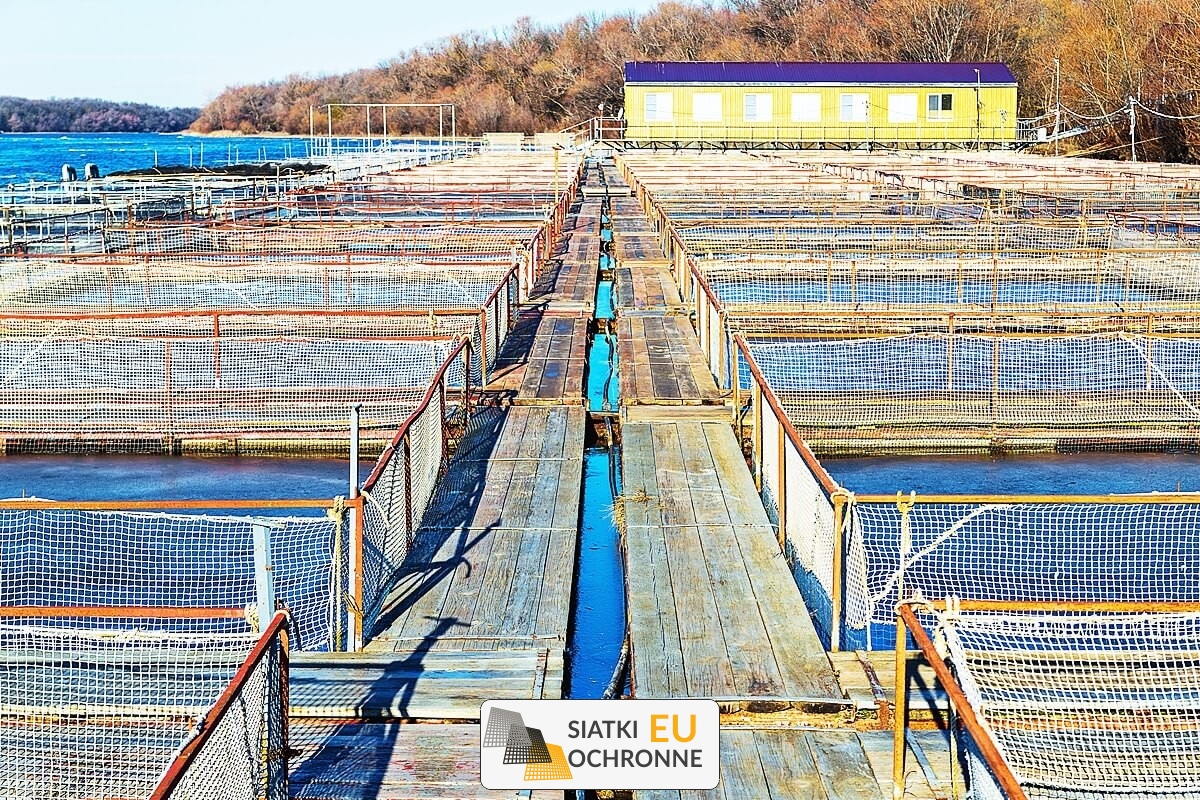 Kojce dla ryb z siatki Siatki dla ryb hodowlanych SiatkiOchronne.eu - Kojce dla ryb z siatki Siatki dla ryb hodowlanych