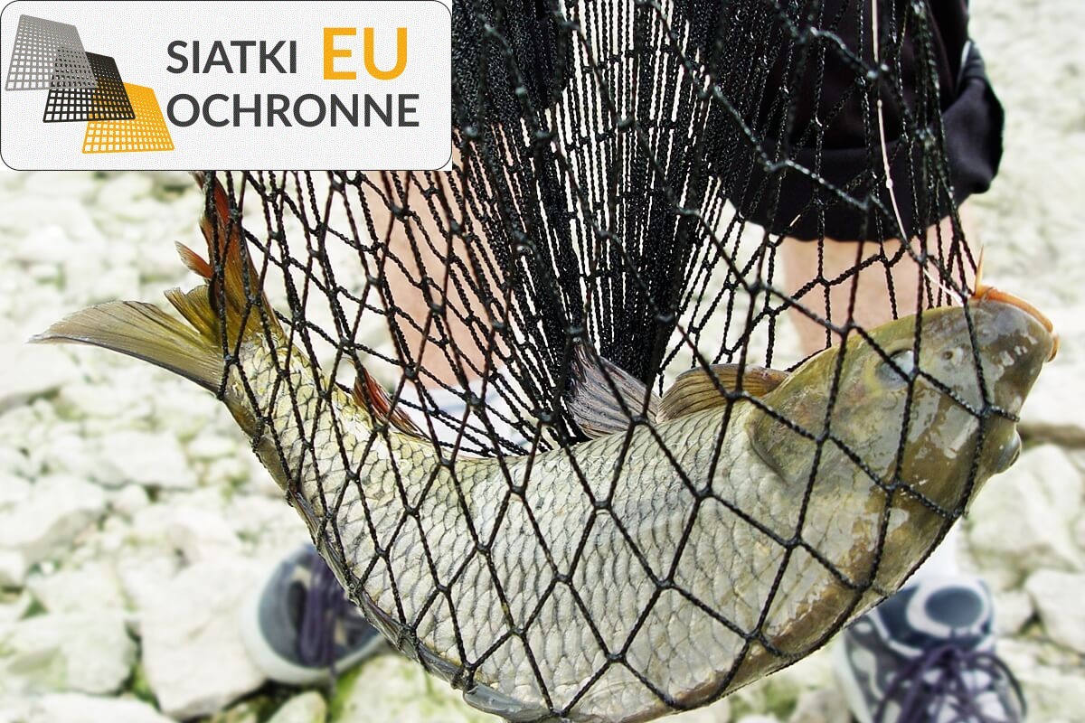Profesjonalne Kojce Siatkowe dla Ryb SiatkiOchronne.eu - Profesjonalne Kojce Siatkowe dla Ryb