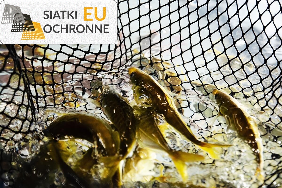 Ochraniacz na zbiorniki - Skuteczna osłona dla Twoich hodowlanych ryb SiatkiOchronne.eu - Ochraniacz na zbiorniki - Skuteczna osłona dla Twoich hodowlanych ryb