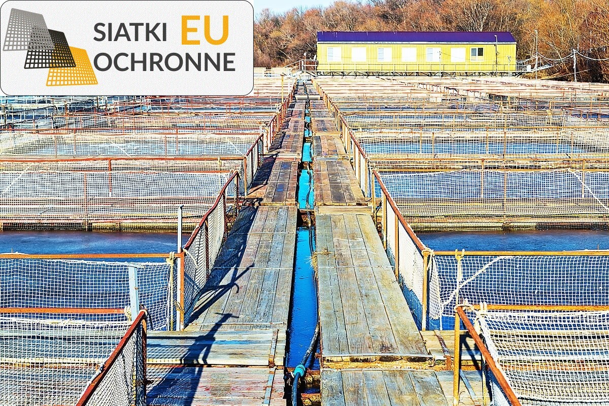 Profesjonalne Kojce Siatkowe dla Ryb SiatkiOchronne.eu - Profesjonalne Kojce Siatkowe dla Ryb