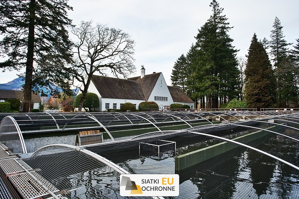 Zabezpieczenie hodowli ryb Siatka do zabezpieczenia ryb SiatkiOchronne.eu - Zabezpieczenie hodowli ryb Siatka do zabezpieczenia ryb