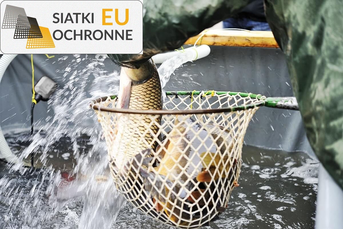 Ochronna siatka do hodowli ryb SiatkiOchronne.eu - Ochronna siatka do hodowli ryb