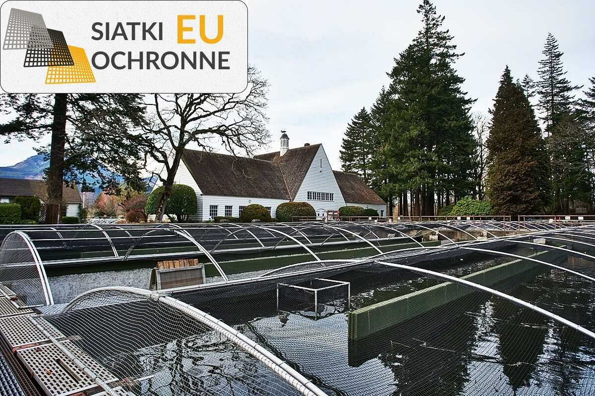 Rozwijaj swoją pasję hodowlaną dzięki naszym kojcom i siatkom SiatkiOchronne.eu - Rozwijaj swoją pasję hodowlaną dzięki naszym kojcom i siatkom