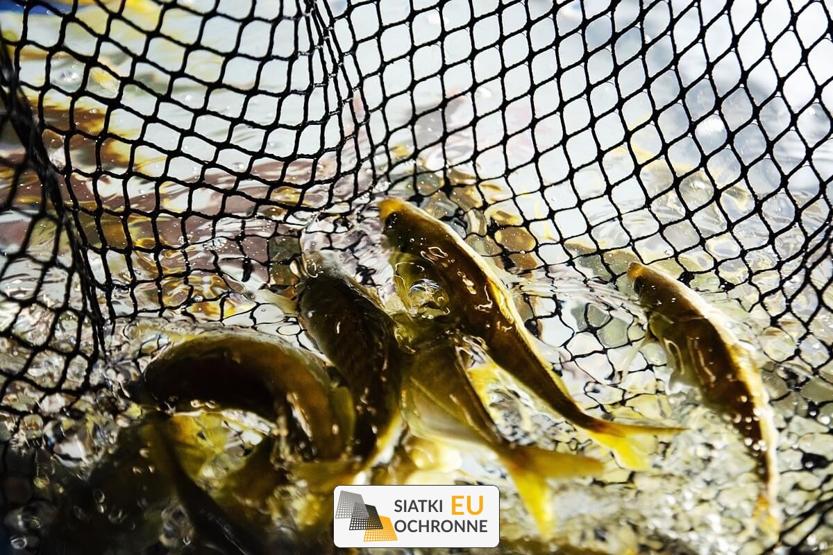   SiatkiOchronne.eu - Kojce dla ryb z siatki   Siatki dla ryb hodowlanych 