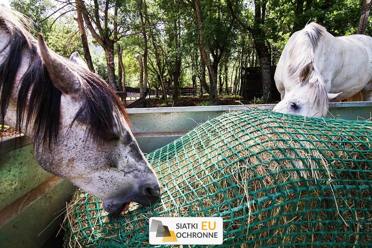  SiatkiOchronne.eu - Siatka na siano dla konia - Paśnik z siatki na siano dla koni 