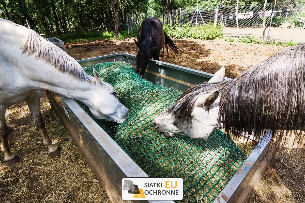  SiatkiOchronne.eu - Siatka na siano dla koni 