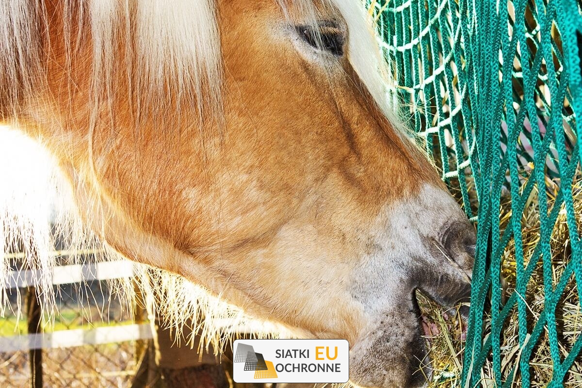  SiatkiOchronne.eu - Siatka na siano dla konia - Paśnik z siatki na siano dla koni 