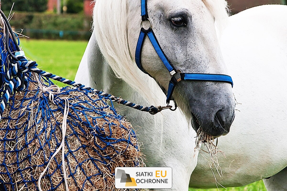   SiatkiOchronne.eu - Hodowlana siatka z PP 