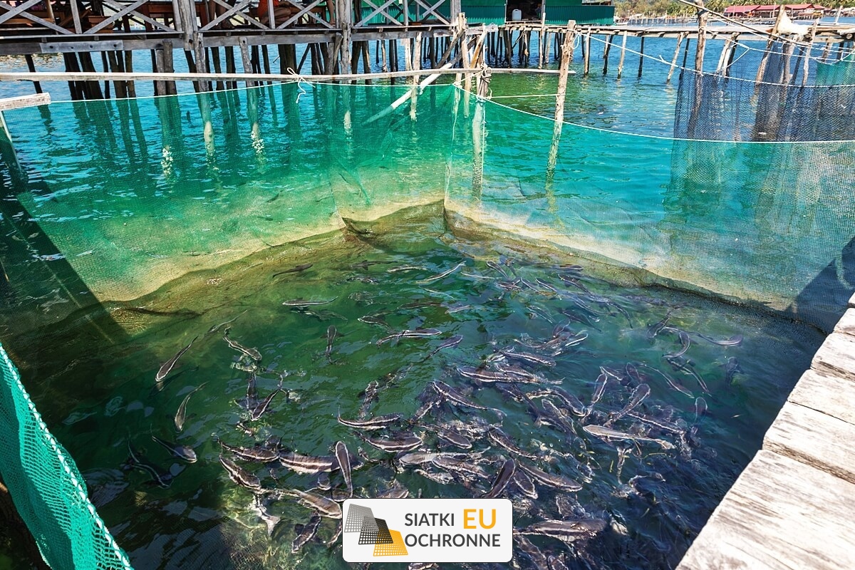   SiatkiOchronne.eu - Zabezpieczenie w hodowli - siatki 