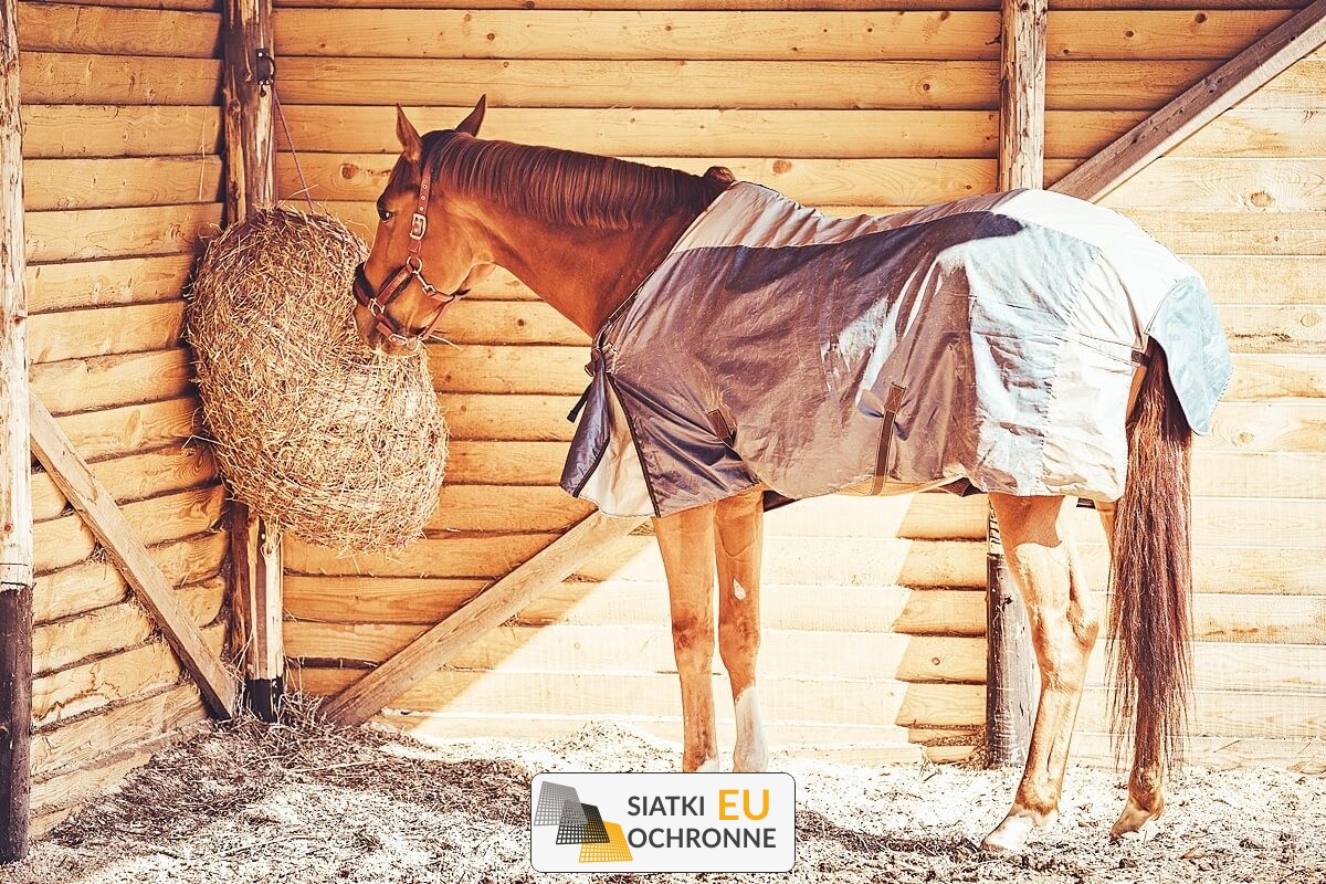 Siatka hodowlana- 2x2 2mm PP SiatkiOchronne.eu - Siatka hodowlana- 2x2 2mm PP