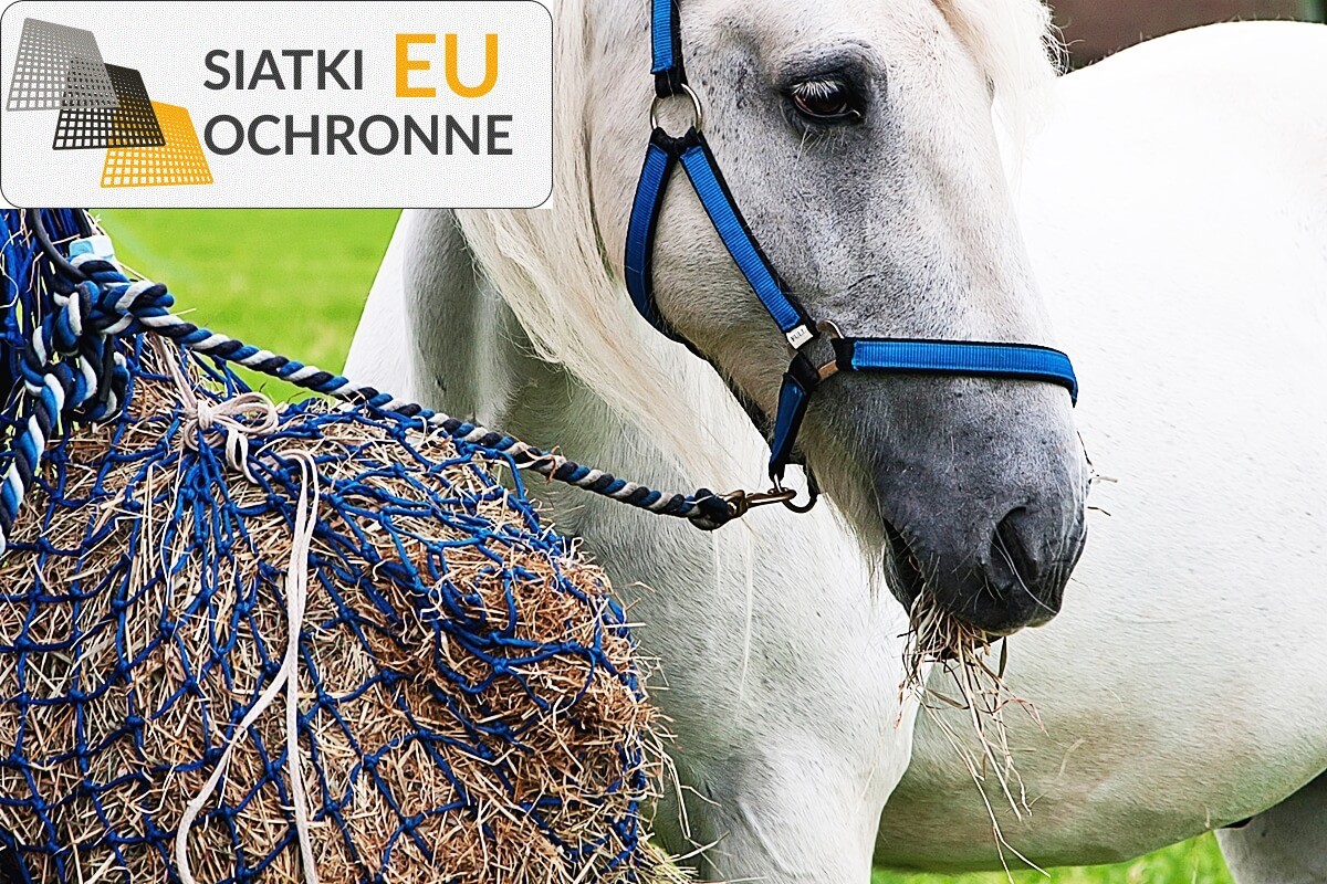 Stabilna siatka hodowlana do ochrony Twoich zwierząt i ptactwa SiatkiOchronne.eu - Stabilna siatka hodowlana do ochrony Twoich zwierząt i ptactwa