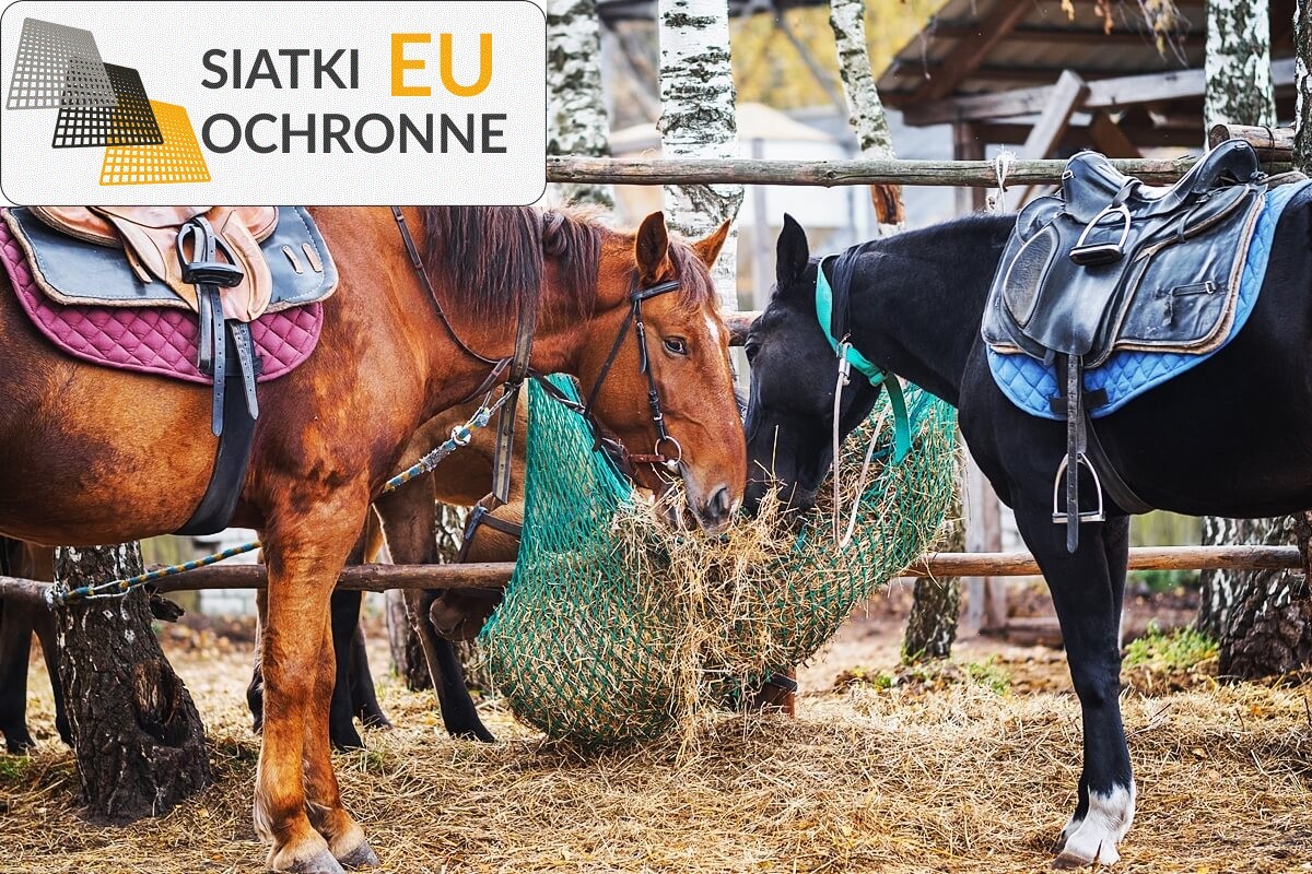 Bariera ochronna do zabezpieczania twoich zwierząt i ptaków SiatkiOchronne.eu - Bariera ochronna do zabezpieczania twoich zwierząt i ptaków