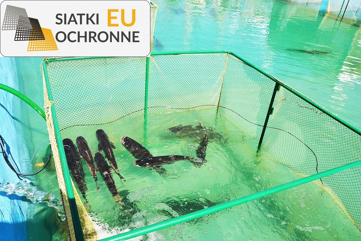 Ochronna siatka 4x4 wykonana z polipropylenu o grubości 2mm SiatkiOchronne.eu - Ochronna siatka 4x4 wykonana z polipropylenu o grubości 2mm