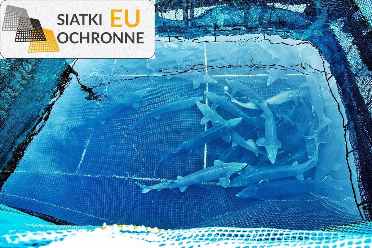 Sznurkowy system ochrony dla zwierząt oraz ptaków SiatkiOchronne.eu - Sznurkowy system ochrony dla zwierząt oraz ptaków