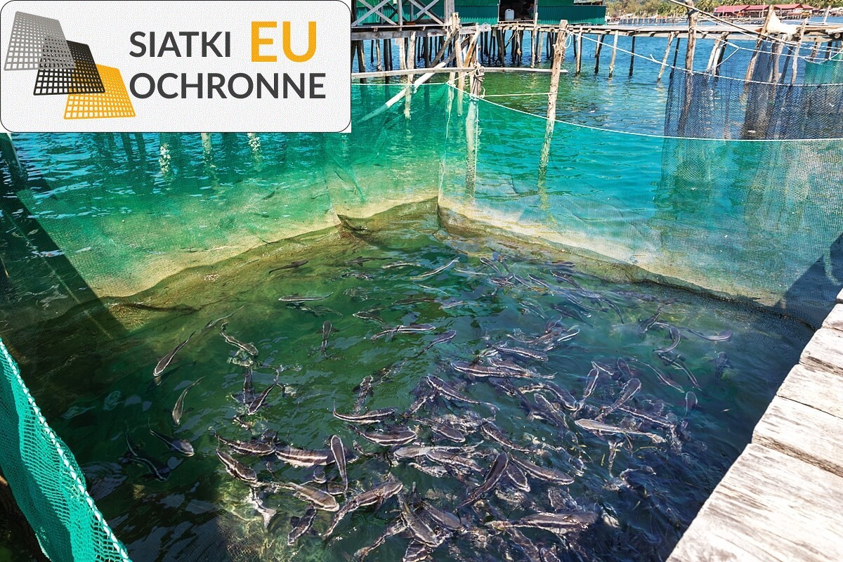 Ochrona twojej hodowli z naszymi siatkami dla ptaków i zwierząt SiatkiOchronne.eu - Ochrona twojej hodowli z naszymi siatkami dla ptaków i zwierząt