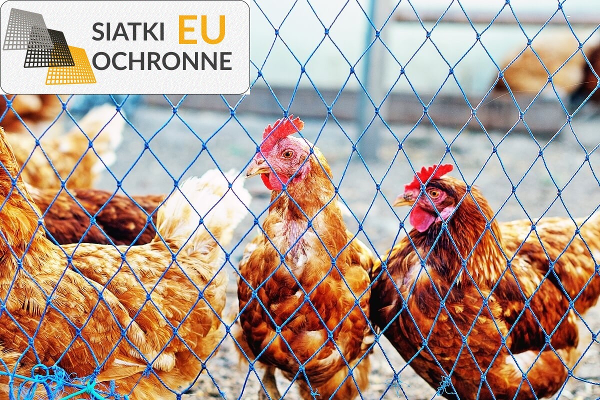 Bariera ochronna do zabezpieczania twoich zwierząt i ptaków SiatkiOchronne.eu - Bariera ochronna do zabezpieczania twoich zwierząt i ptaków